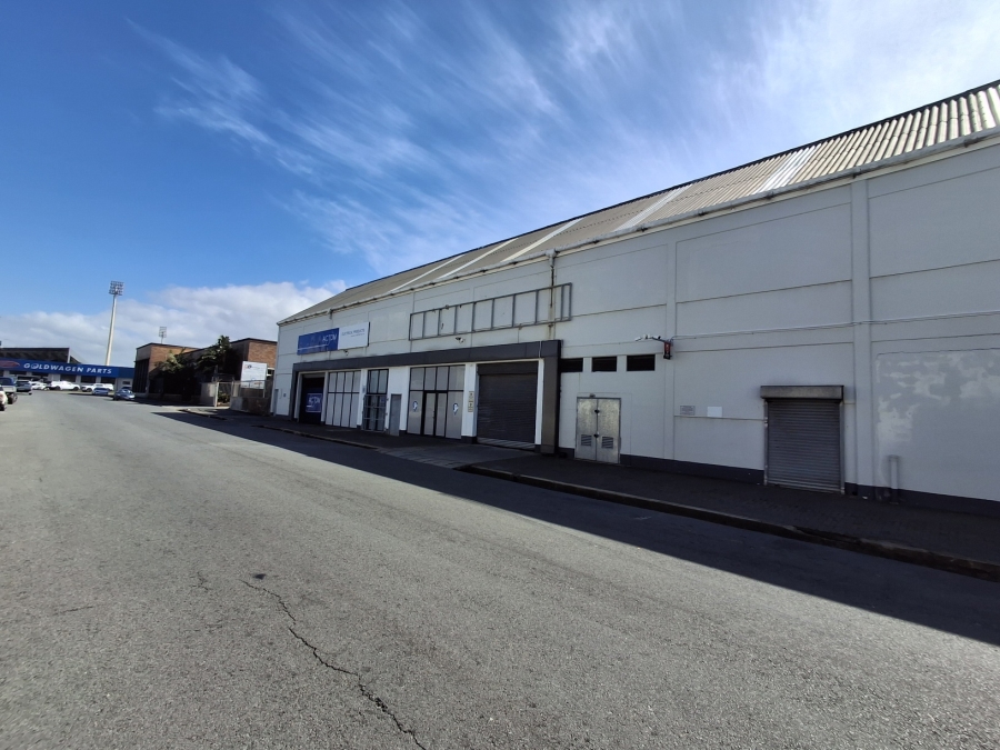 To Let Commercial Property for Rent in Arcadia Eastern Cape